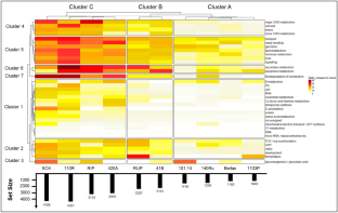 Comparative RNA sequencing-based transcriptome profiling of ten grapevine rootstocks: shared and specific sets of genes respond to mycorrhizal symbiosis.