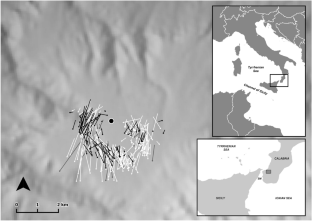 Small-scale migratory behavior of three facultative soaring raptors approaching a water body: a radar study investigating the effect of weather, topography and flock size