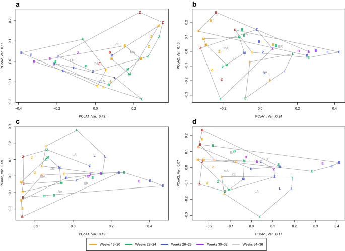 Seasonal shift in the diet of the notched-eared bat (Myotis emarginatus) in the Basque Country: from flies to spiders