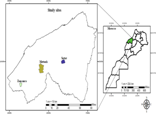 Population fluctuations, diversity and effectiveness of natural enemies associated with the cactus scale Diaspis echinocacti (Bouché) (Hemiptera: Diaspididae) in Morocco