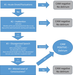 Evaluation and Management of Delirium in Dementia