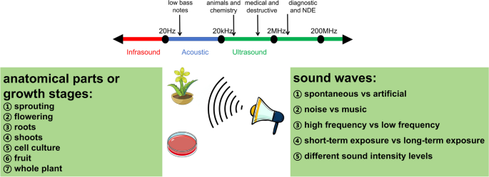 The role of sound stimulation in production of plant secondary metabolites