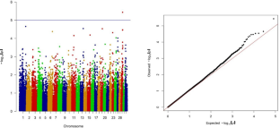 Identification of genetic variants affecting reproduction traits in Vrindavani cattle.