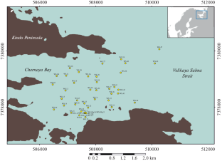 Phylogenetic Diversity of Prokaryotic Communities of the Upper Sediment Layers of the Kandalaksha Bay, White Sea