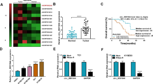 Circ_0001944 depletion inhibits glycolysis and esophageal cancer progression by binding to miR-338-5p to reduce PDK1 expression.