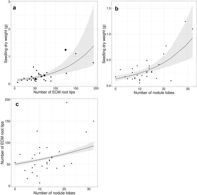 Primary succession of ectomycorrhizal fungi associated with Alnus sieboldiana on Izu-Oshima Island, Japan.