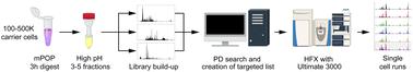 Single cell proteomics analysis of drug response shows its potential as a drug discovery platform†