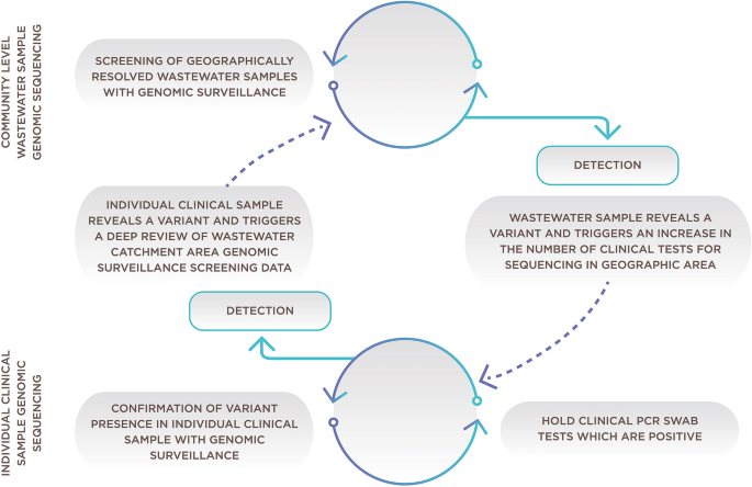 Combining Community Wastewater Genomic Surveillance with State Clinical Surveillance: A Framework for SARS-CoV-2 Public Health Practice