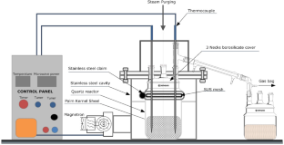 Utilization of microwave steam pyrolysis to produce biochar for thermal energy storage