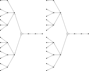 Four shades of deterministic leader election in anonymous networks