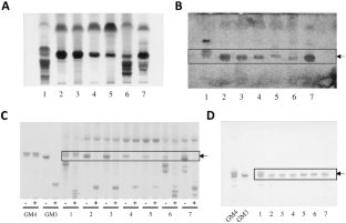 Vibrio-binding gangliosides in fish intestinal tracts.