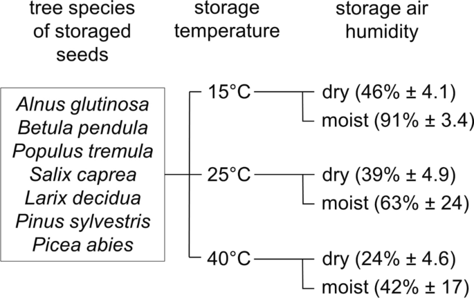 Global warming could shorten the seed lifespan of pioneer tree species and thus natural regeneration window of damaged areas