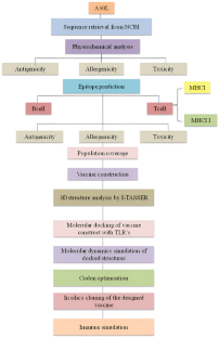 Computer-Aided Multi-Epitope Based Vaccine Design Against Monkeypox Virus Surface Protein A30L: An Immunoinformatics Approach