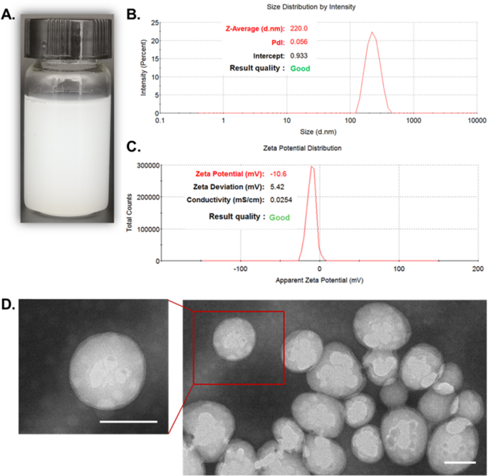 RGD peptide modified RBC membrane functionalized biomimetic nanoparticles for thrombolytic therapy