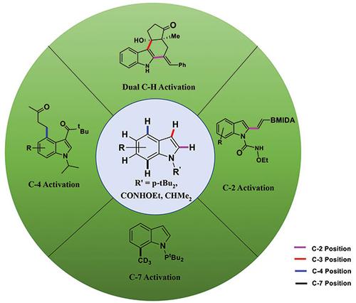 Rhodium(III)-Catalyzed C–H Activation in Indole: A Comprehensive Report (2017–2022)