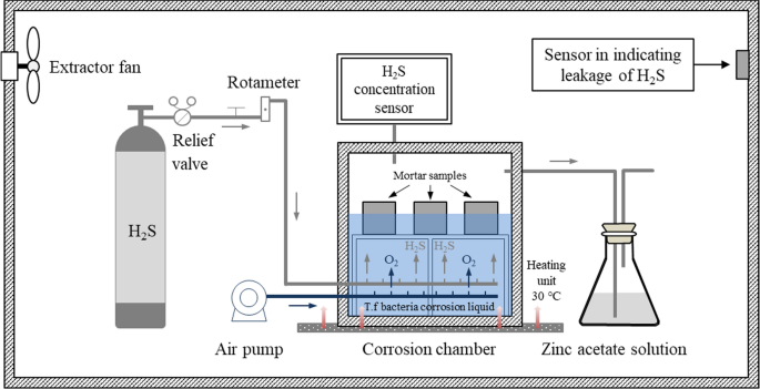 Valorisation of alum sludge to produce green and durable mortar