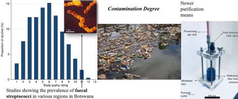 Analysing the quality of Botswana's surface waters in terms of microbial contamination and postulating feasible treatment and removal means