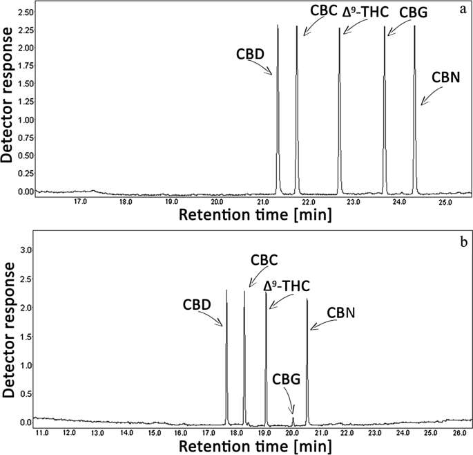 Cannabigerol (CBG) signal enhancement in its analysis by gas chromatography coupled with tandem mass spectrometry.