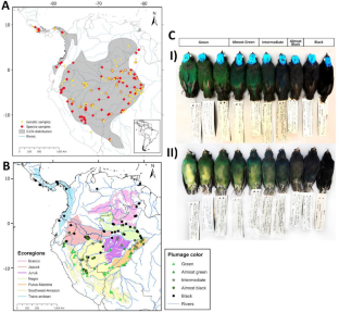 Geographic Drivers of Genetic and Plumage Color Diversity in the Blue-Crowned Manakin