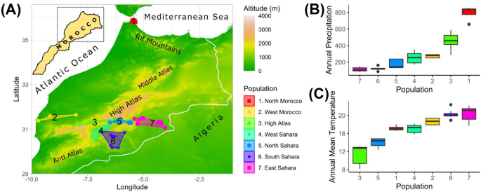 Genetic diversity and population structure of the Saharan honey bee Apis mellifera sahariensis from southeastern Morocco: introgression assessment and implications for conservation