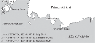 Age-Related and Seasonal Dynamics of the Hemocyte Population in the Mussel Crenomytilus grayanus (Dunker, 1853)