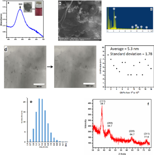 Fabrication of nanofibrous vinyl brushes of clay minerals as an active support for gold nanoparticles for catalytic reduction