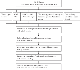 Sub-region analysis of DMD gene in cases with idiopathic generalized epilepsy.