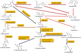 Biodegradation of Neonicotinoids: Current Trends and Future Prospects