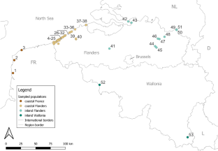 Asymmetrical gene flow between coastal and inland dunes in a threatened digger wasp