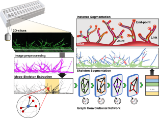 Machine Learning-Aided Three-Dimensional Morphological Quantification of Angiogenic Vasculature in the Multiculture Microfluidic Platform