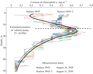 Agent-Based Model of Diatom Population Dynamics in Marginal Arctic Seas in Summer