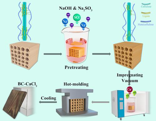 Sustainable ultra-strong thermally conductive wood-based antibacterial structural materials with anti-corrosion and ultraviolet shielding