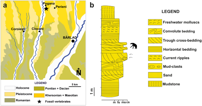 New evidence for the unique coexistence of two subfamilies of clawed perissodactyls (Mammalia, Chalicotheriidae) in the Upper Miocene of Romania and the Eastern Mediterranean