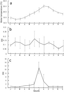 Reproductive ecology, age, and growth of the Kidako moray Gymnothorax kidako from Tateyama Bay, Chiba, Japan