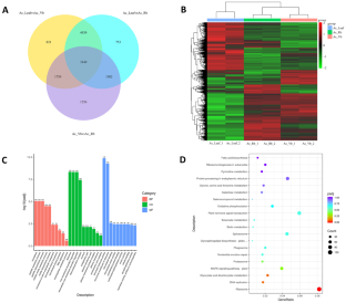 Genome-wide Transcriptome Analysis Reveals the Gene Regulatory Network in Star Fruit Flower Blooming