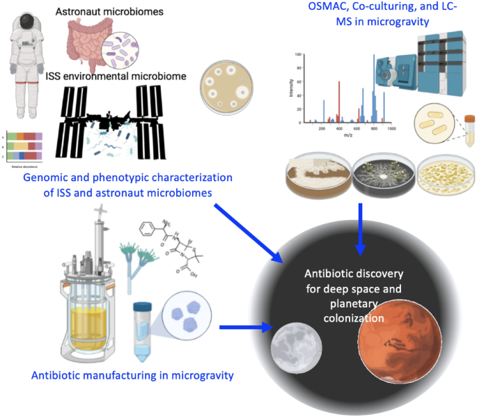 Challenges and Opportunities for Bioactive Compound and Antibiotic Discovery in Deep Space