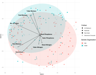 Mycorrhizal response of Solanum tuberosum to homokaryotic versus dikaryotic arbuscular mycorrhizal fungi.