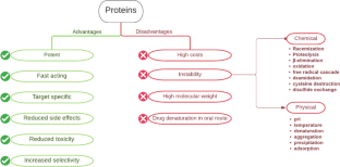 Methylglyoxal Induced Modifications to Stabilize Therapeutic Proteins: A Review