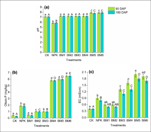 Effect of Bone Meal Application on Soil Properties, Heavy Metal Accumulation, and Agronomic Traits of Pelargonium graveolens