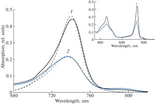 Adaptation of Green Photosynthetic Bacteria to Different Illumination According to Spectroscopy Data on Chlorosomes