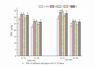 Different Rotation and Double Straw Returning Significantly Increase Liable Organic Carbon Content and Yield of Double Cropping Paddy Field in Southern China