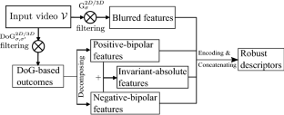 Dynamic texture description using adapted bipolar-invariant and blurred features