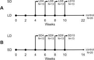 Photorefractoriness and Recovery of Photosensitivity in a Seasonal Nonhuman Primate (Microcebus murinus)