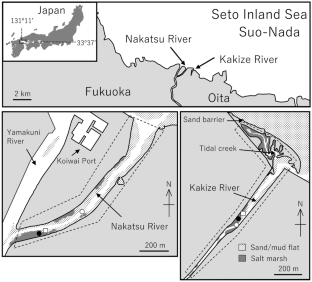 Food habits of fishes in salt marsh estuaries in the western Seto Inland Sea, Japan