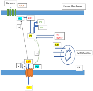 Numerical simulation of calcium dynamics dependent ATP degradation, IP3 and NADH production due to obesity in a hepatocyte cell