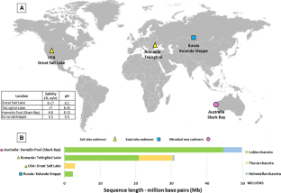 Asgard archaea in saline environments.