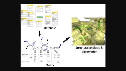 Exploring cooperative molecular contacts using a PostgreSQL database system.