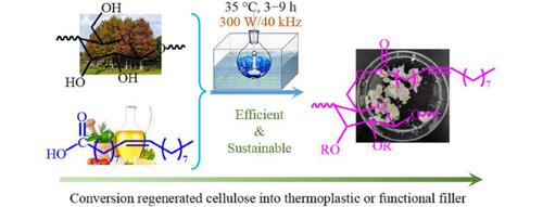 Sustainable conversion regenerated cellulose into cellulose oleate by sonochemistry