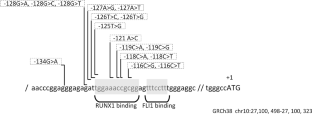 ANKRD26-Related Thrombocytopenia and Predisposition to Myeloid Neoplasms.