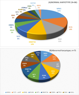 Flow cytometric measurable residual disease in adult acute myeloid leukemia: a preliminary report from Eastern India.